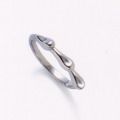 �����Ҥ����ǥ�Υץ���ʡ���� Pt��PLATINUM��2003350-4