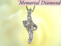 [WMDP-2B]����������10��������ɡڥ������ȥƥ�ץ���ʡ��ڥ����ȡ��ͥå��쥹��