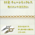 ���ץ�˺١�������1.9�ߥ�ˡ�K18YG [K18���������������]  �ͥå��쥹 y070315