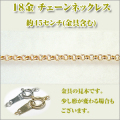 ���ץ�Ķ�˺١�������1.6�ߥ��K18YG [K18���������������]  �ͥå��쥹 y070316