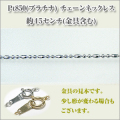�����Х�ƥ�������ߡ���������������1.0�ߥ�ˡ�Pt850[�ץ����]  �ͥå��쥹 y070342