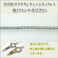 �ޥ�٥꡼��������������1.6�ߥ�ˡ�Pt850[�ץ����]  �ͥå��쥹 y070357