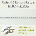 ��Ʀ����������������0.9�ߥ�ˡ�Pt850[�ץ����]  �ͥå��쥹 y070365