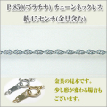 �죰����������������1.4�ߥ�)��Pt850[�ץ����]  �ͥå��쥹 y070367