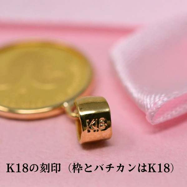 2025年 限定 干支 巳年 コイン 蛇 ヘビ Snake Coin コイン